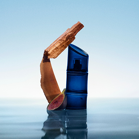 LE NOUVEAU MASCULIN
